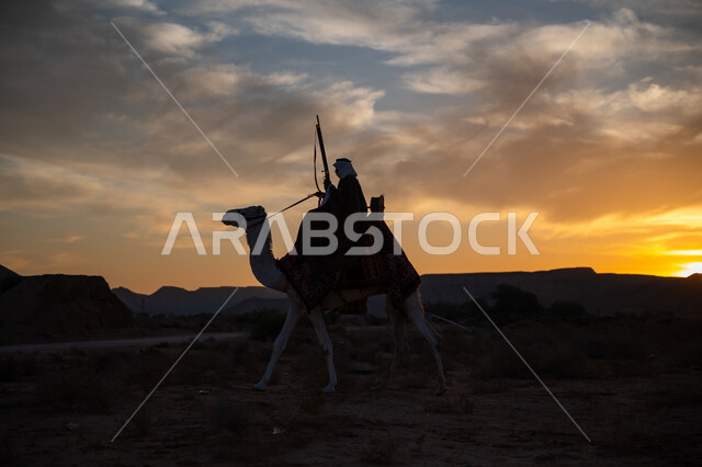 يوم بدينا 22 فبراير, ذكرى تأسيس الدولة السعودية الأولى 1727م, ارتداء الزي الشعبي التقليدي في مناسبة وطنية, رجل عربي خليجي سعودي يرتدي البشت والغترة يمتطي الجمل في الصحراء ويحمل السهم والقوس بيديه, استخدام أدوات الصيد التراثية
