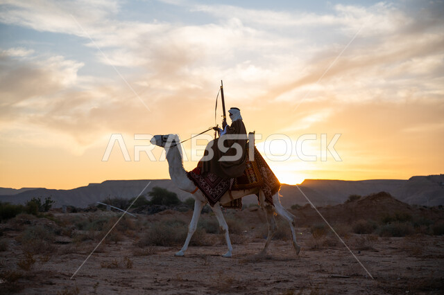 استخدام أدوات الصيد التراثية, ارتداء الزي الشعبي التقليدي في مناسبة وطنية, يوم بدينا 22 فبراير, ذكرى تأسيس الدولة السعودية الأولى 1727م, رجل عربي خليجي سعودي يرتدي البشت والغترة يمتطي الجمل في الصحراء ويحمل السهم والقوس بيديه