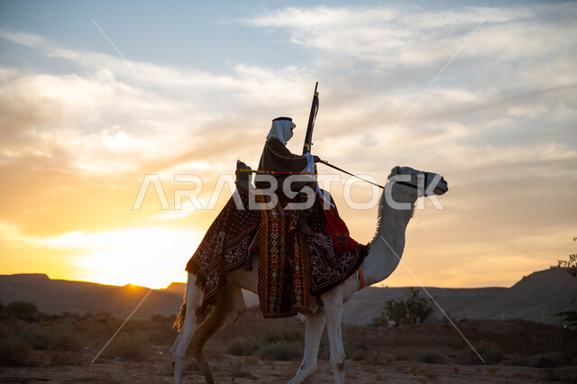 Using traditional hunting tools, wearing traditional folk costume on a national occasion, the day of our beginning, February 22, the anniversary of the founding of the first Saudi state 1727 AD, a Saudi Gulf Arab man wearing a bisht and a ghutra riding a camel in the desert and carrying an arrow and a bow in his hands