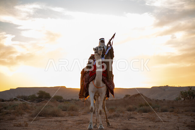 استخدام أدوات الصيد التراثية, ارتداء الزي الشعبي التقليدي في مناسبة وطنية, يوم بدينا 22 فبراير, ذكرى تأسيس الدولة السعودية الأولى 1727م, رجل عربي خليجي سعودي يرتدي البشت والغترة يمتطي الجمل في الصحراء ويحمل السهم والقوس بيديه