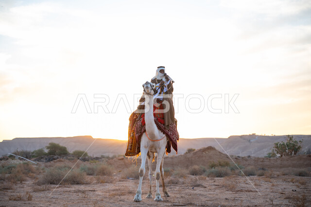 ذكرى تأسيس الدولة السعودية الأولى 1727م, يوم بدينا 22 فبراير, ارتداء الزي الشعبي التقليدي في مناسبة وطنية, رجل عربي خليجي سعودي يرتدي البشت والغترة يمتطي الجمل في الصحراء ويحمل السهم والقوس بيديه, استخدام أدوات الصيد التراثية