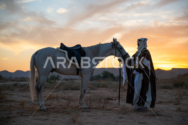 الرعاية والاهتمام بالخيول, ذكرى تأسيس الدولة السعودية الأولى 1727م, رجل عربي خليجي سعودي يرتدي البشت والعقال الذهبي يقف مع حصانه الأصيل في الصحراء بوقت غروب الشمس, توارث حب الجياد من الأجداد, يوم بدينا 22 فبراير, ارتداء الزي الشعبي التقليدي في مناسبة وطنية