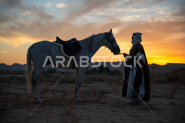 Horse care and attention, the anniversary of the founding of the first Saudi state 1727 AD, a Saudi Gulf Arab man wearing a bisht and a golden headband stands with his purebred horse in the desert at sunset, the love of horses is inherited from ancestors, the day we started February 22, wearing traditional folk costume on a national occasion