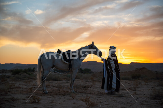 يوم بدينا 22 فبراير, ارتداء الزي الشعبي التقليدي في مناسبة وطنية, ذكرى تأسيس الدولة السعودية الأولى 1727م, الرعاية والاهتمام بالخيول, رجل عربي خليجي سعودي يرتدي البشت والعقال الذهبي يقف مع حصانه الأصيل في الصحراء بوقت غروب الشمس, توارث حب الجياد من الأجداد