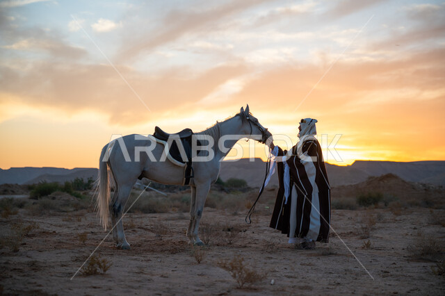 الرعاية والاهتمام بالخيول, ذكرى تأسيس الدولة السعودية الأولى 1727م, رجل عربي خليجي سعودي يرتدي البشت والعقال الذهبي يقف مع حصانه الأصيل في الصحراء بوقت غروب الشمس, توارث حب الجياد من الأجداد, يوم بدينا 22 فبراير, ارتداء الزي الشعبي التقليدي في مناسبة وطنية