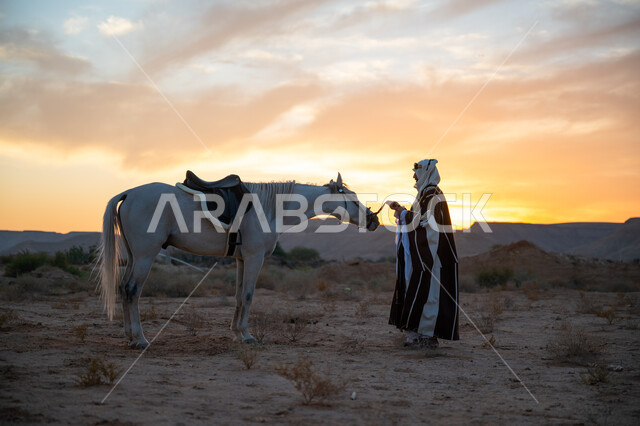 يوم بدينا 22 فبراير, ارتداء الزي الشعبي التقليدي في مناسبة وطنية, ذكرى تأسيس الدولة السعودية الأولى 1727م, الرعاية والاهتمام بالخيول, رجل عربي خليجي سعودي يرتدي البشت والعقال الذهبي يقف مع حصانه الأصيل في الصحراء بوقت غروب الشمس, توارث حب الجياد من الأجداد