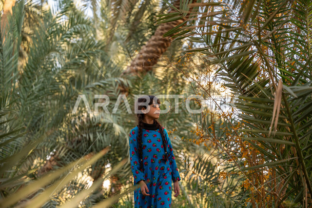 إحياء ذكرى تأسيس الدولة السعودية الأولى 1727 م, يوم بدينا 22 فبراير, فتاة عربية خليجية سعودية ترتدي فستان أزرق تسير في مزرعة النخل بالمملكة, الأناقة والاهتمام بالمظهر الخارجي, محمية طبيعية لزراعة أشجار النخيل