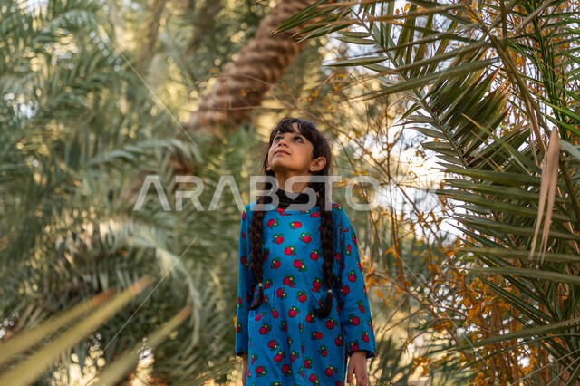 يوم بدينا 22 فبراير, إحياء ذكرى تأسيس الدولة السعودية الأولى 1727 م, فتاة عربية خليجية سعودية ترتدي فستان أزرق تسير في مزرعة النخل بالمملكة, الأناقة والاهتمام بالمظهر الخارجي, محمية طبيعية لزراعة أشجار النخيل