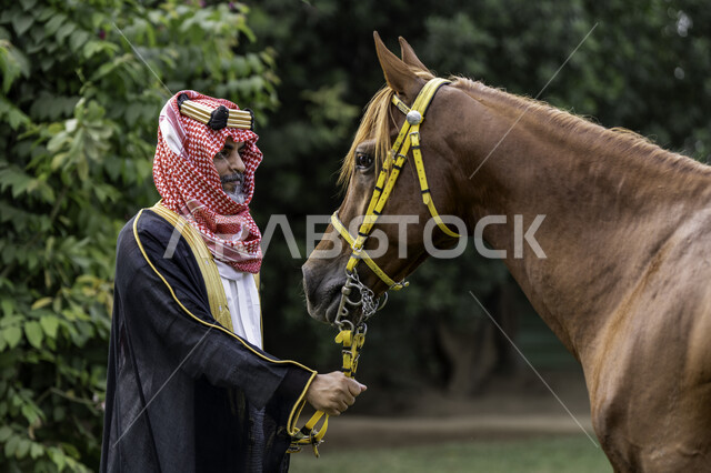 توراث حب وتربية الجياد من الأجداد, يوم بدينا 22 فبراير, رعاية الخيل والاهتمام به، ذكرى تأسيس الدولة السعودية الأولى في 1727م, الزي الشعبي في المناسبة الوطنية، رجل عربي خليجي سعودي يرتدي البشت و الشماغ يقف بجانب فرسه البني الأصيل