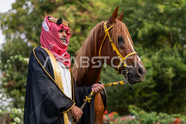 رعاية الخيل والاهتمام به، ذكرى تأسيس الدولة السعودية الأولى في 1727م, النظر الى شيء ما بتعابير الفخر, توراث حب وتربية الجياد من الأجداد, الزي الشعبي في المناسبة الوطنية، يوم بدينا 22 فبراير, رجل عربي خليجي سعودي يرتدي البشت و الشماغ يقف بجانب فرسه البني الأصيل