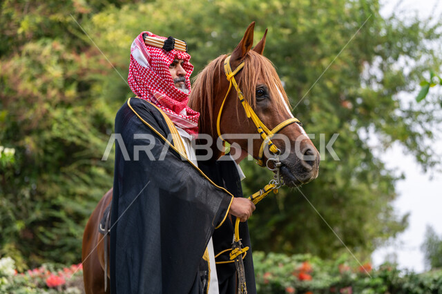 Horse care and attention, the anniversary of the founding of the first Saudi state in 1727 AD, looking at something with expressions of pride, inheriting the love and breeding of horses from ancestors, traditional dress on the national occasion, the day we started February 22, a Saudi Gulf Arab man wearing a bisht and a shemagh stands next to his purebred brown horse