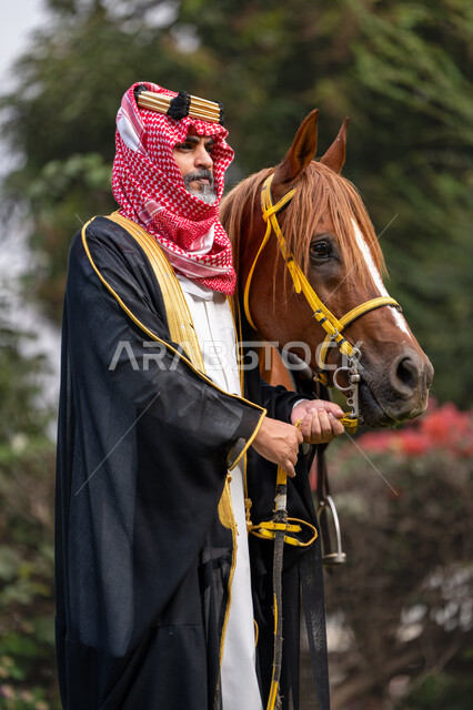 رعاية الخيل والاهتمام به، ذكرى تأسيس الدولة السعودية الأولى في 1727م, النظر الى شيء ما بتعابير الفخر, توراث حب وتربية الجياد من الأجداد, الزي الشعبي في المناسبة الوطنية، يوم بدينا 22 فبراير, رجل عربي خليجي سعودي يرتدي البشت و الشماغ يقف بجانب فرسه البني الأصيل
