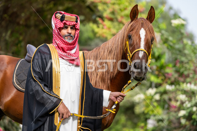 يوم بدينا 22 فبراير ,ذكرى تأسيس الدولة السعودية الأولى في 1727م, توراث حب وتربية الجياد من الأجداد, رعاية الخيل والاهتمام به، الزي الشعبي في المناسبة الوطنية، رجل عربي خليجي سعودي يرتدي البشت و الشماغ يقف بجانب فرسه البني الأصيل