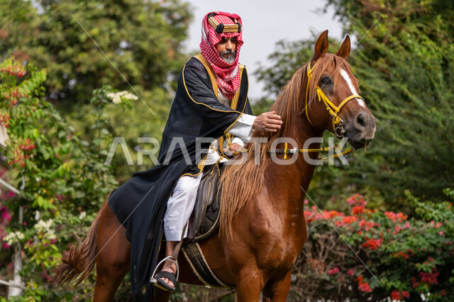 الزي الشعبي في المناسبة الوطنية، ذكرى تأسيس الدولة السعودية الأولى في 1727م, توراث حب وتربية الجياد من الأجداد, رعاية الخيل والاهتمام به، رجل عربي خليجي سعودي يرتدي البشت و الشماغ يمتطي فرسه البني الأصيل, يوم بدينا 22 فبراير