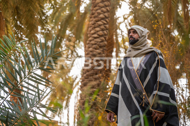 Traditional popular profession, date harvest season, nature reserve for palm tree cultivation, anniversary of the founding of the first Saudi state in 1727 AD, the day we started February 22, a Saudi Gulf Arab man wearing traditional dress stands in a palm farm in the Kingdom