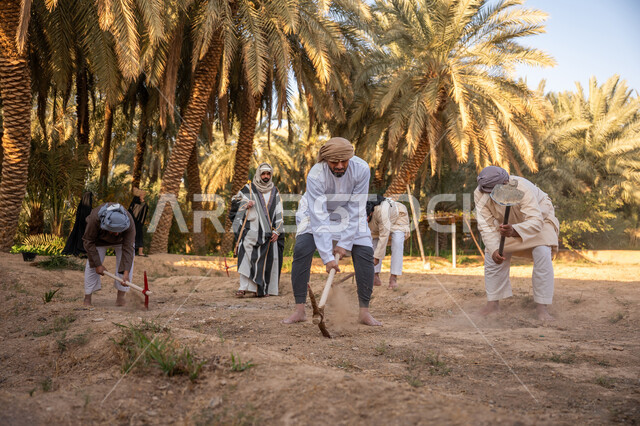 إحياء ذكرى تأسيس الدولة السعودية الأولى 1727 م, مزرعة أشجار النخيل في المملكة, يوم بدينا 22 فبراير, فلاحون عرب خليجيون سعوديون يرتدون الزي التقليدي يقومون بحراثة الأرض, توارث مهنة الفلاحة, حرفة شعبية تراثية, زراعة وتشجير الأراضي السعودية