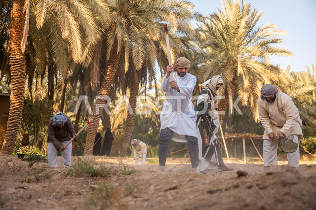 إحياء ذكرى تأسيس الدولة السعودية الأولى 1727 م, مزرعة أشجار النخيل في المملكة, يوم بدينا 22 فبراير, فلاحون عرب خليجيون سعوديون يرتدون الزي التقليدي يقومون بحراثة الأرض, توارث مهنة الفلاحة, حرفة شعبية تراثية, زراعة وتشجير الأراضي السعودية