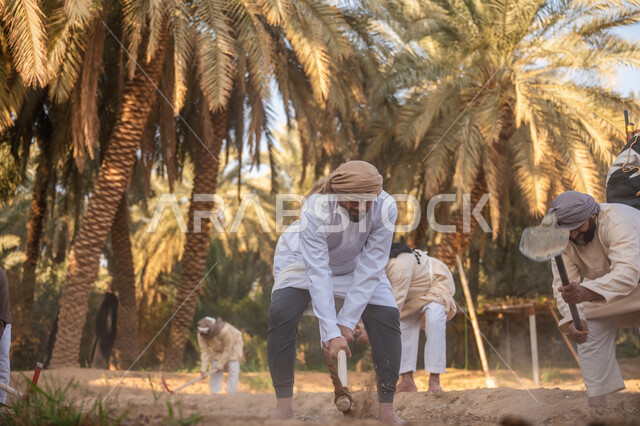 حرفة شعبية تراثية, زراعة وتشجير الأراضي السعودية, إحياء ذكرى تأسيس الدولة السعودية الأولى 1727 م, يوم بدينا 22 فبراير, فلاحون عرب خليجيون سعوديون يرتدون الزي التقليدي يقومون بحراثة الأرض, توارث مهنة الفلاحة, مزرعة أشجار النخيل في المملكة