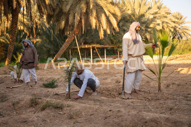 حرفة شعبية تراثية, زراعة وتشجير الأراضي السعودية, إحياء ذكرى تأسيس الدولة السعودية الأولى 1727 م, يوم بدينا 22 فبراير, مزارعون عرب خليجيون سعوديون يرتدون الزي التقليدي يقومون بزرعة النخل, توارث مهنة الفلاحة, مزرعة أشجار النخيل في المملكة