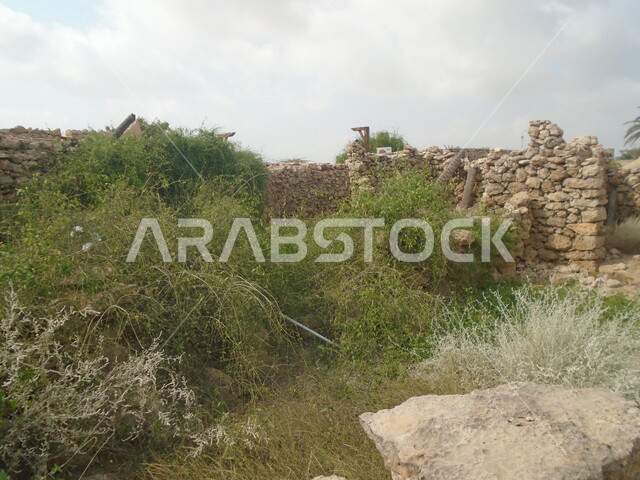 Interest in planting trees and green plants, attracting and attracting tourists from all over the world, a clay house in Al-Qassar village in Jazan city, a famous landmark and tourist place, buildings on the ancient heritage in Farasan Governorate in the Kingdom of Saudi Arabia