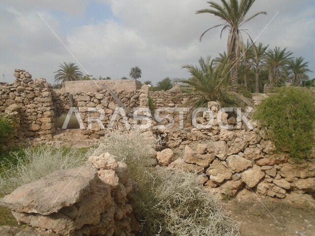 Attracting and attracting tourists from all over the world, a mud house in Al-Qassar village in Jazan city, a famous landmark and tourist place, interest in planting trees and green plants, buildings on the ancient heritage in Farasan Governorate in the Kingdom of Saudi Arabia