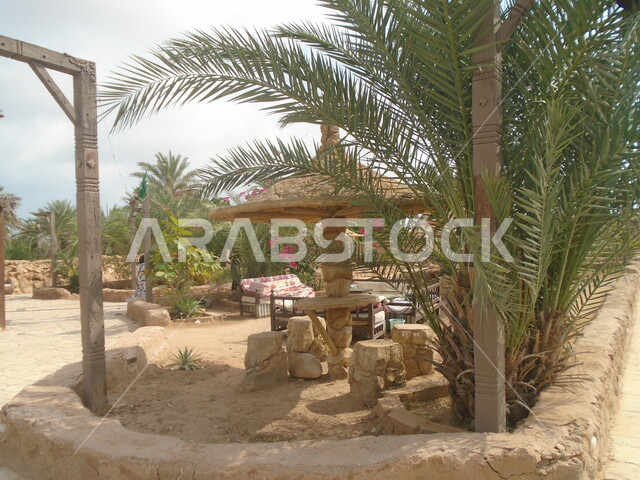 استقطاب وجذب السياح من أنحاء العالم، منزل طيني في قرية القصار في مدينة جازان، الاهتمام بزراعة الأشجار والنباتات الخضراء، معلم ومكان سياحي مشهور، المباني على التراث القديم في محافظة فرسان في المملكة العربية السعودية