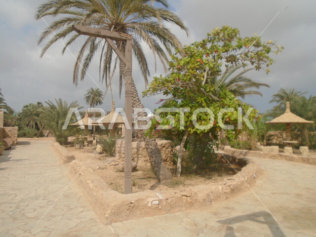 استقطاب وجذب السياح من أنحاء العالم، منزل طيني في قرية القصار في مدينة جازان، الاهتمام بزراعة الأشجار والنباتات الخضراء، معلم ومكان سياحي مشهور، المباني على التراث القديم في محافظة فرسان في المملكة العربية السعودية