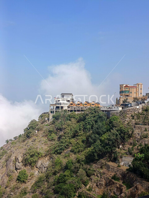 الأشجار والنباتات الخضراء على سفوح جبال فيفاء، البيوت والمباني السكنية على القمم والمرتفعات الجبلية, المدرجات الزراعية في مدينة جازان في السعودية، خلفية الطبيعة