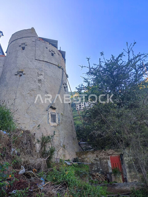 الأشجار والنباتات الخضراء على سفوح جبال فيفاء، البيوت والمباني السكنية على القمم والمرتفعات الجبلية, المدرجات الزراعية في مدينة جازان في السعودية، خلفية الطبيعة