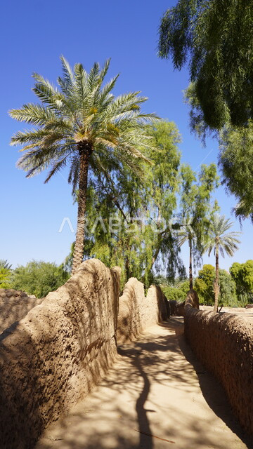 الاهتمام بالتشجير وزراعة النباتات الخضراء في المحمية الطبيعية، مكان ومعلم تاريخي سياحي تراثي في المملكة العربية السعودية، البيت و الجدار المبني من الطين والطوب في القرية القديمة في صحراء مدينة العلا