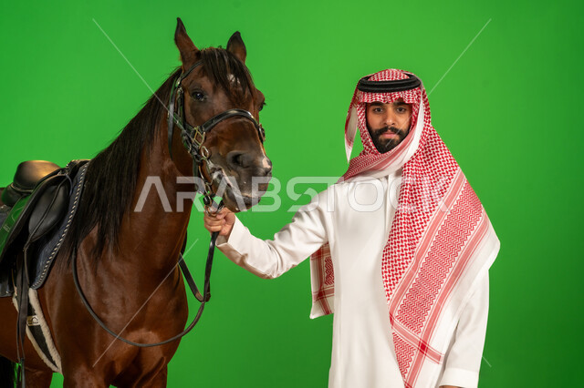 The inherited custom of raising purebred horses, the passion for equestrianism and the hobby of horse riding, a portrait of a Saudi Arabian Gulf man wearing the traditional thobe and shemagh standing next to his horse looking at the camera with gestures of confidence, following the traditions of the ancestors in caring for horses in the Kingdom of Saudi Arabia, green background, chroma key