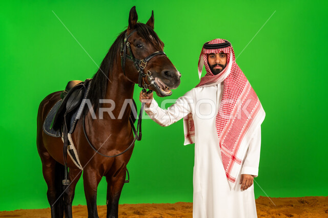 العادة المتوارثة في تربية الخيل الأصيل، اتباع تقاليد الأجداد في رعاية الجياد في المملكة العربية السعودية، شغف الفروسية وهواية ركوب الأحصنة، بورتريه لرجل عربي خليجي سعودي يرتدي الثوب التقليدي والشماغ يقف بجانب فرسه فوق الرمال الناعمة، خلفية خضراء، كروما