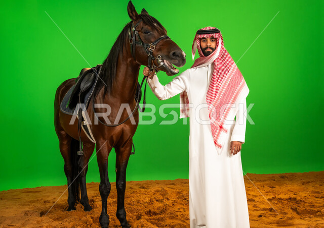 العادة المتوارثة في تربية الخيل الأصيل، اتباع تقاليد الأجداد في رعاية الجياد في المملكة العربية السعودية، شغف الفروسية وهواية ركوب الأحصنة، بورتريه لرجل عربي خليجي سعودي يرتدي الثوب التقليدي والشماغ يقف بجانب فرسه فوق الرمال الناعمة، خلفية خضراء، كروما