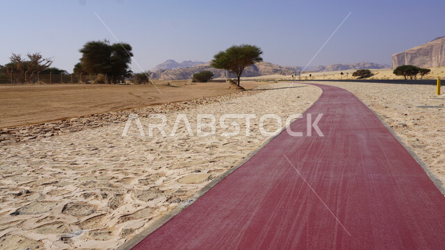 الرمال الذهبية الناعمة، ممشى باللون الأحمر في البلدة القديمة في مدينة العلا، نمو الأشجار الخضراء والنباتات في الصحراء، التضاريس والتشكلات الجبلية في المناطق الصحراوية، التكوينات والتشكيلات الصخرية، منطقة طبيعية سياحية مشهورة في المملكة العربية السعودية