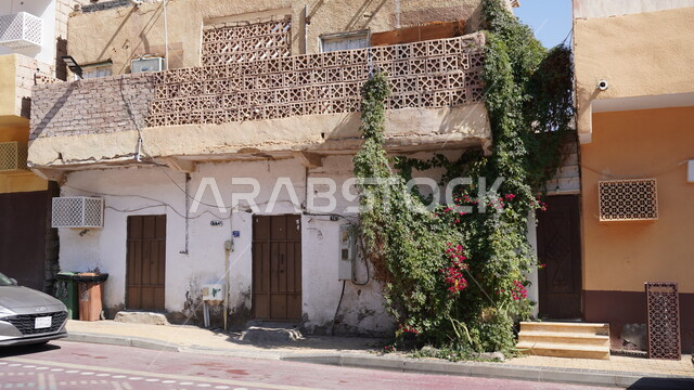 نمو الأشجار والنباتات، بيت طيني شعبي في البلدة القديمة, السياحة في مدينة العلا, الاماكن التاريخية التراثية, منطقة سياحية مشهورة في المملكة العربية السعودية، الفن الهندسي المعماري على الطراز القديم