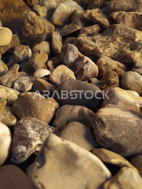 صورة مقربة لأحجار وحصوات على شاطئ البحر ، خلفية لصخور وحصوات شاطئ البحر الصغيرة ، حصى الشواطئ الطبيعية  ، صخور بحرية صغيرة
