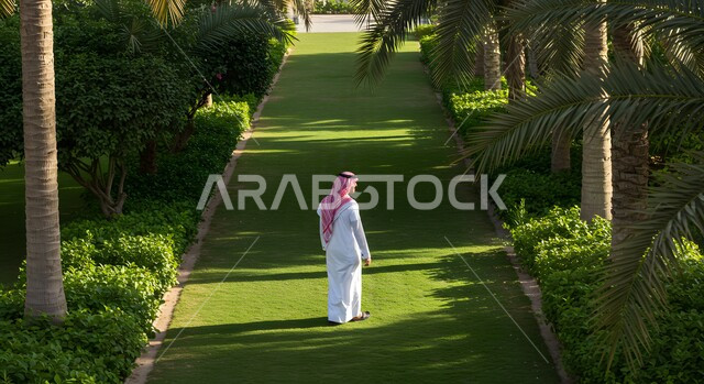 التنزه والتسلية في الحدائق والمنتزهات في المملكة العربية السعودية، صورة من الخلف لرجل عربي خليجي سعودي يرتدي الثوب التقليدي والشماغ يقف باستقامة وسط الحديقة العامة، قضاء وقت ممتع، الأشجار والنباتات الخضراء 