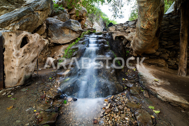 تدفق المياه من جارية طبيعية صافية في قرية ذي عين الأثرية في مدينة الباحة جنوب المملكة، مكان سياحي تاريخي مشهور في السعودية، التضاريس الصخرية والقمم والمرتفعات الجبلية، جذب واستقطاب السياح والزوار، الأشجار والنباتات الخضراء 