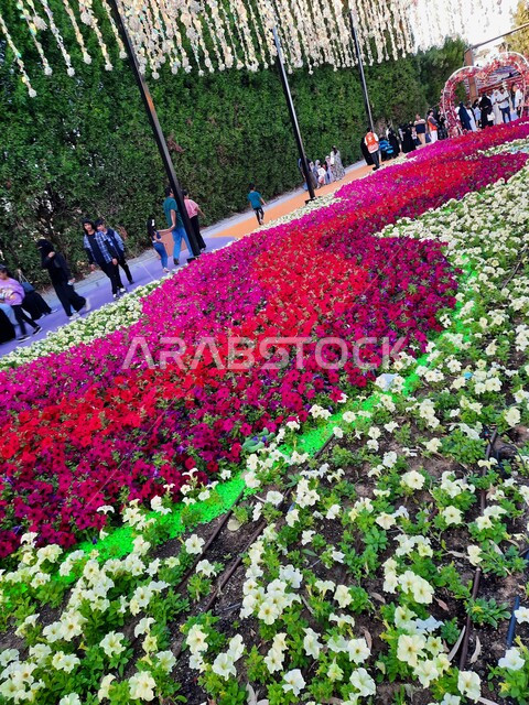 وجهه عائلية بيئية ثقافية وترفيهية، حقول الورود الملونة في مهرجان الزهور والحدائق، الحفاظ على البيئة والتنمية المستدامة، مهرجان ومعرض طبيعي سياحي في المملكة العربية السعودية، الديكور والتصميم المتميز في حديقة مدينة ينبع الصناعية