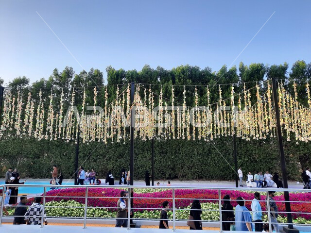 الحفاظ على البيئة والتنمية المستدامة، مهرجان ومعرض طبيعي سياحي في المملكة العربية السعودية، حقول الورود الملونة في مهرجان الزهور والحدائق، وجهه عائلية بيئية ثقافية وترفيهية، الديكور والتصميم المتميز في حديقة مدينة ينبع الصناعية