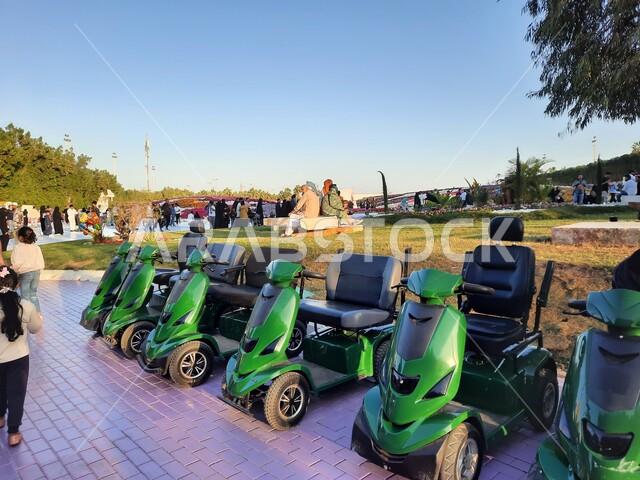 عربات لتجول الزوار داخل الحديقة، وجهه عائلية بيئية ثقافية وترفيهية، حقول الورود الملونة في مهرجان الزهور والحدائق، الحفاظ على البيئة والتنمية المستدامة، مهرجان ومعرض طبيعي سياحي في المملكة العربية السعودية، الديكور والتصميم المتميز في حديقة مدينة ينبع الصناعية