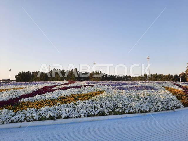 Family destination, environmental, cultural and entertainment, distinctive design and decoration in Yanbu Industrial City Park, natural tourism festival and exhibition in the Kingdom of Saudi Arabia, environmental conservation and sustainable development, colorful rose fields in the flower and garden festival