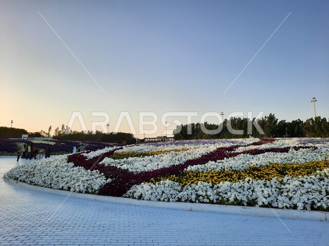 التصميم والديكور المتميز في حديقة مدينة ينبع الصناعية، مهرجان ومعرض طبيعي سياحي في المملكة العربية السعودية، الحفاظ على البيئة والتنمية المستدامة، حقول الورود الملونة في مهرجان الزهور والحدائق، وجهه عائلية بيئية ثقافية وترفيهية