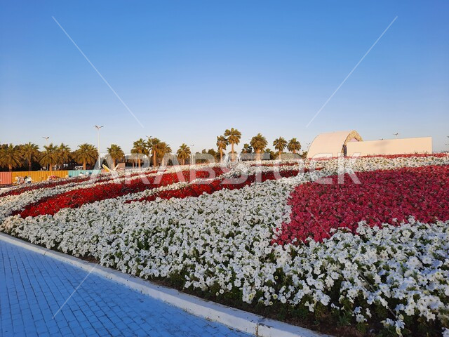 الديكور والتصميم المتميز في حديقة مدينة ينبع الصناعية، مهرجان ومعرض طبيعي سياحي في المملكة العربية السعودية، الحفاظ على البيئة والتنمية المستدامة، حقول الورود الملونة في مهرجان الزهور والحدائق، وجهه عائلية بيئية ثقافية وترفيهية