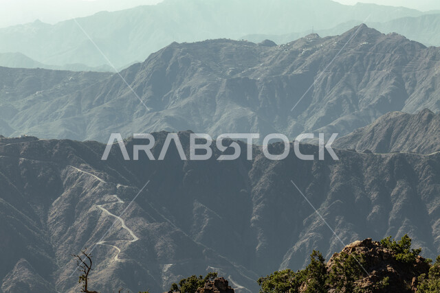 الشجر والنبات المغطي سفوح الجبل، التضاريس والبيئة الجبلية لمنطقة أبها في عسير، الطبيعة والمنتزهات والحدائق الخضراء، سلاسل الجبال الصخرية والقمم العالية في وقت النهار،  أماكن طبيعية للمغامرات ورحلات السفاري والاستمتاع