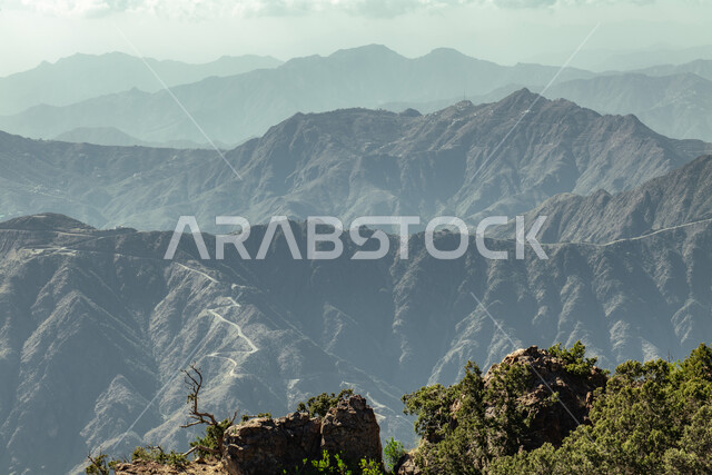 الشجر والنبات المغطي سفوح الجبل، التضاريس والبيئة الجبلية لمنطقة أبها في عسير، الطبيعة والمنتزهات والحدائق الخضراء، سلاسل الجبال الصخرية والقمم العالية في وقت النهار،  أماكن طبيعية للمغامرات ورحلات السفاري والاستمتاع