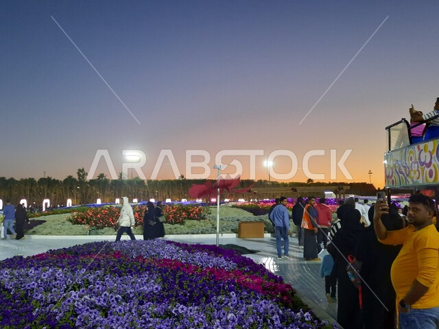 التنمية المستدامة والحفاظ على البيئة، قدوم الزوار والسائحين للاستمتاع بفعاليات مهرجان الزهور، وجهه عائلية ثقافية وترفيهية، الديكور والتصميم المتميز في حديقة المناسبات بمدينة ينبع الصناعية وقت الغروب، معرض ومهرجان طبيعي سياحي في المملكة العربية السعودية