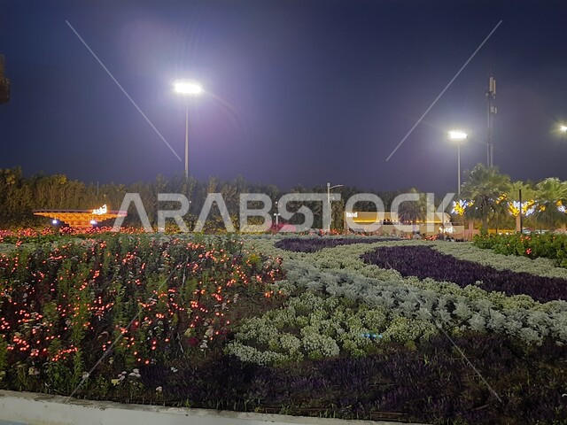الديكور والتصميم المتميز في حديقة مدينة ينبع الصناعية وقت الليل، معرض ومهرجان طبيعي سياحي في المملكة العربية السعودية، الحفاظ على البيئة والتنمية المستدامة، حقول الورود الملونة وأشجار النخيل في مهرجان الزهور والحدائق، وجهه عائلية بيئية ثقافية وترفيهية