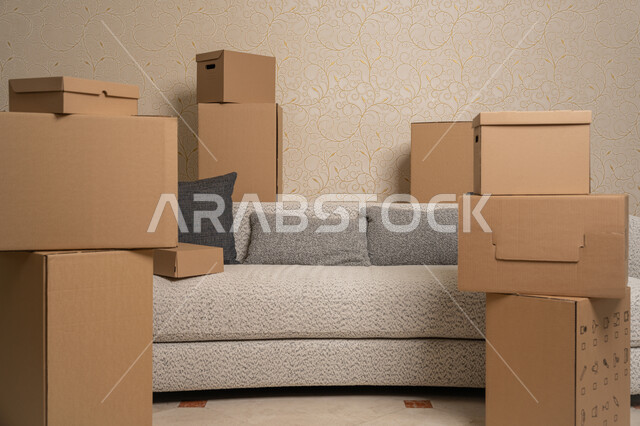 مجموعة من الصناديق الكرتونية الممتلئة حول أريكة رمادية في غرفة المعيشة الجديدة، نقل صناديق الأغراض المنزلية، مفهوم الاسكان والتمليك والاستقرارالعائلي، ترتيب وتنظيم المنزل، امتلاك سكن جديد في الامارات العربية المتحدة