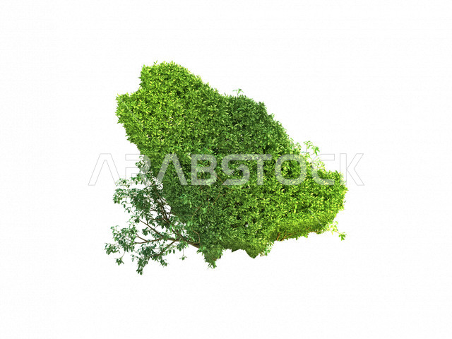 شجرة طبيعية خضراء على شكل خريطة المملكة العربية السعودية ، اليوم الوطني السعودي ، ذكرى توحيد المملكة العربية السعودية ، راية التوحيد والاسلام ، العيد الوطني للمملكة ، المملكة العربية السعودية ، خلفية بيضاء ، خرائط وبلدان